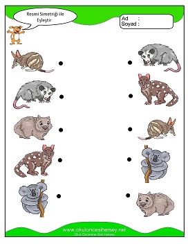 Simetrisi ile Eşleştir Çalışma Sayfaları